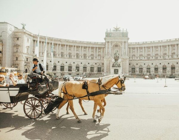 Vienna: City Highlights E-Bike Tour - Practical Information