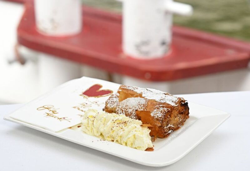 Vienna: Danube River Cruise w/ optional Viennese Specialties - The Shorter Cruise: A Taste of the City’s Modern Side