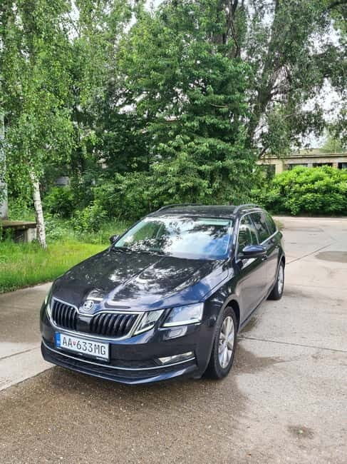 Vienna daytrip: Private transfer from Prague and back - What Reviewers Mentioned