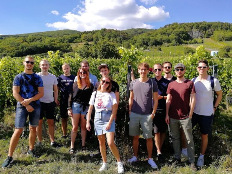 Vienna: Full-Day Vienna Woods Wine Tasting Tour - Authentic Insights from Reviewers