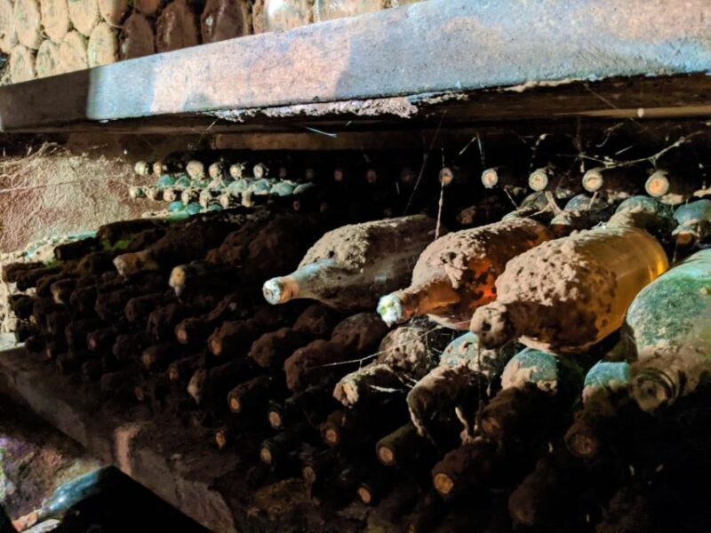 Vienna: Full-Day Vienna Woods Wine Tasting Tour - Final Thoughts