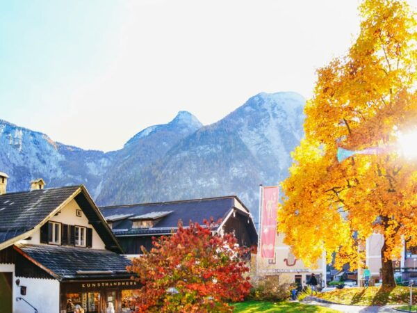 Vienna: Hallstatt & Alpine Peaks Day Trip With Skywalk Lift - Common Questions