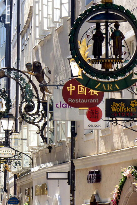 Vienna: Hallstatt and Salzburg Private Guided Day Trip - Included Services