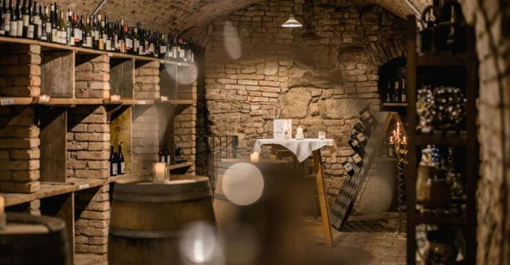 Vienna: Hidden Wine Cellars Tasting Experience - Activity Details