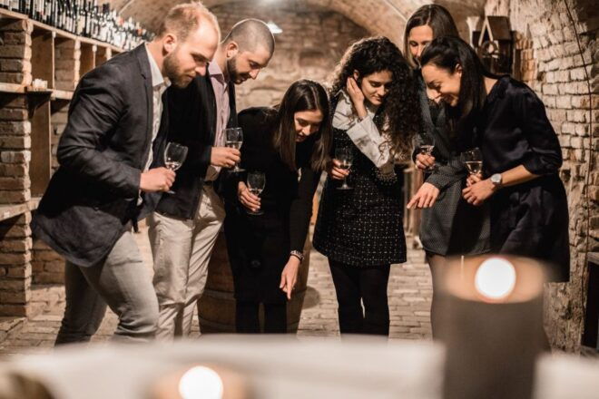 Vienna: Hidden Wine Cellars Tasting Experience - Review Summary
