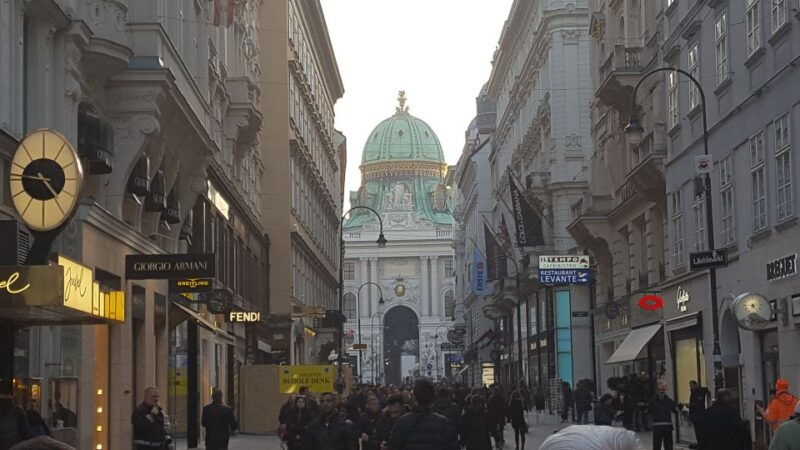 Vienna Historical Highlight City Tour + Wine Tasting - Practical Details and Tips