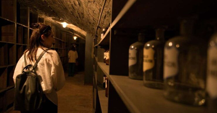 Vienna: Historical Pharmacy Cellar Guided Tour - Experience Highlights