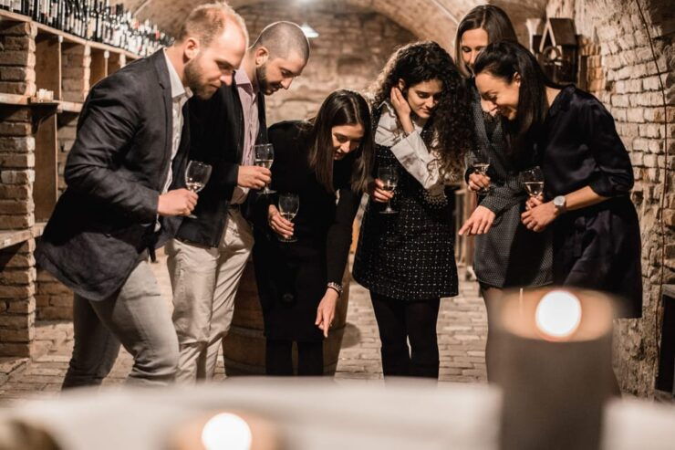 Vienna: Historical Wine Cellar Guided Tour - Experience Highlights