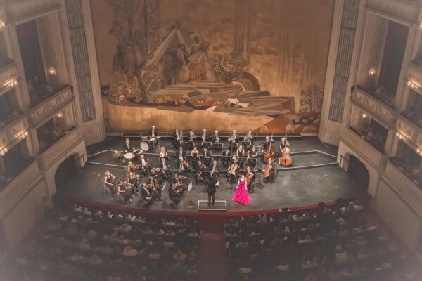 Vienna Hofburg Orchestra Concert at the Vienna State Opera - Accessibility and Accommodations