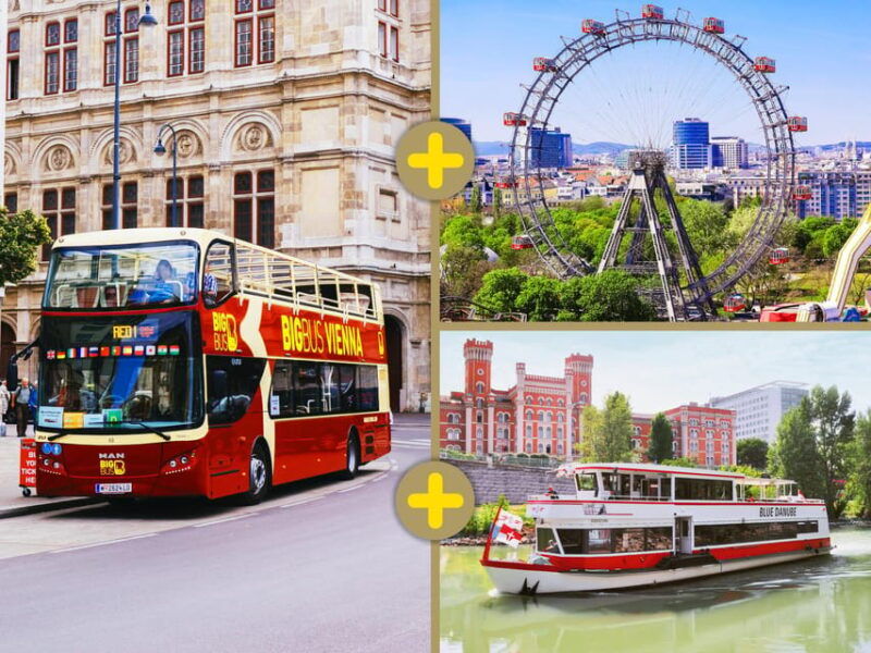 Vienna: Hop-on Hop-off, Ferris Wheel, and River Cruise - Danube River Cruise: A Relaxing Perspective
