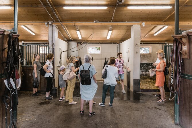 Vienna Horse-drawn Carriage Guided Tour - Inclusions