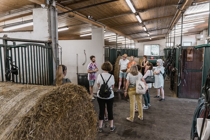 Vienna Horse-drawn Carriage Guided Tour - Additional Information