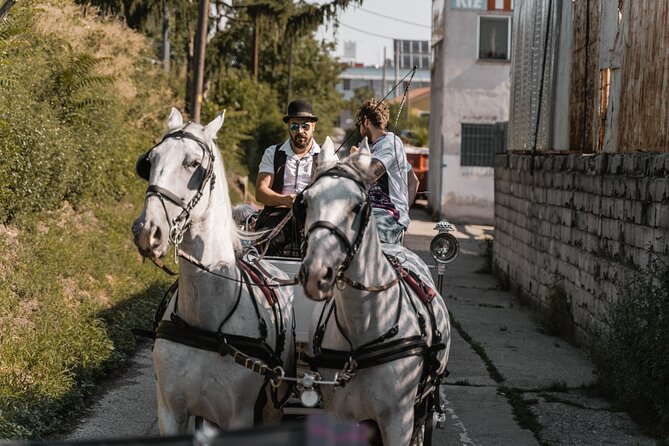 Vienna Horse-drawn Carriage Guided Tour - Common Questions