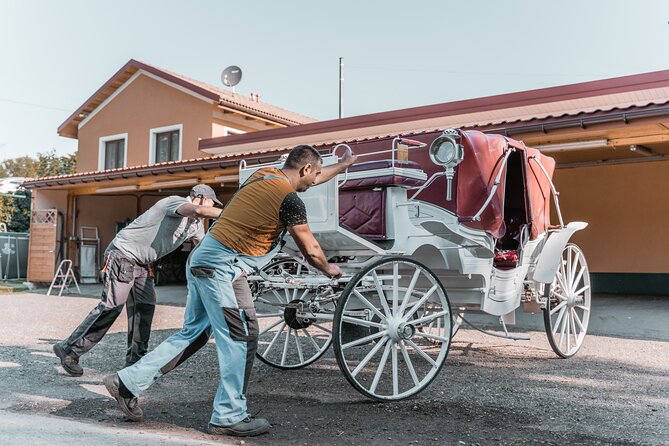 Vienna Horse-drawn Carriage Guided Tour - The Sum Up