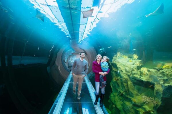 Vienna: House of the Sea Entry Ticket - Unforgettable Vienna Adventure