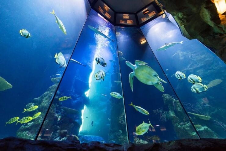 Vienna: House of the Sea Entry Ticket - Frequently Asked Questions
