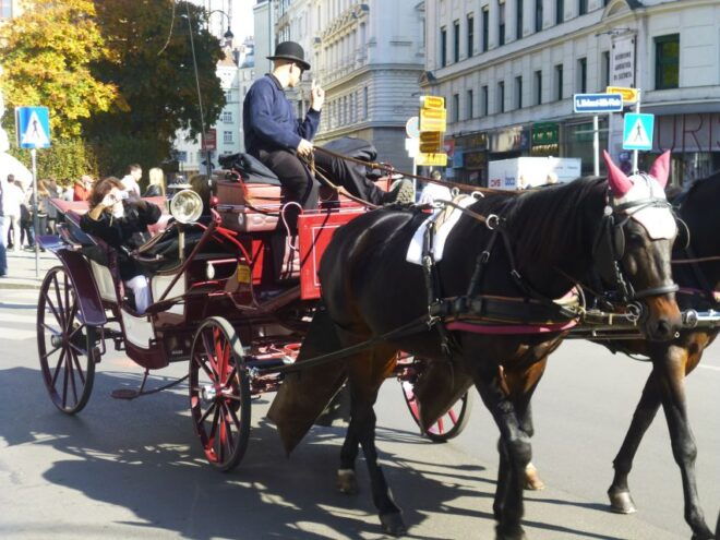 Vienna: Imperial History Guided Walking Tour - Select Participants and Date