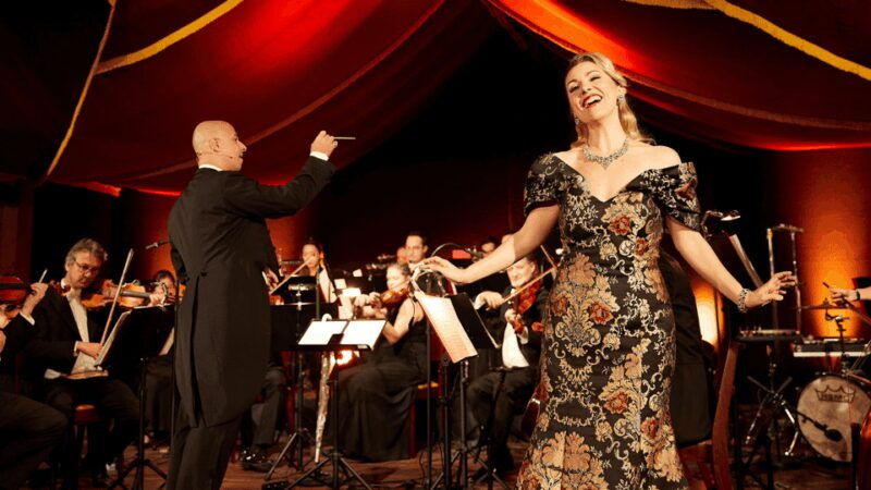 Vienna: Johann Strauss Dinner Show at the Prater - An Overview of the Experience