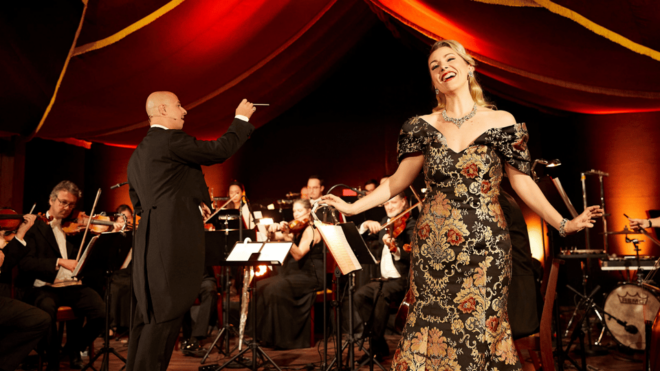 Vienna: Johann Strauss Dinner Show - Musical Performances