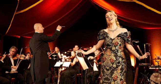 Vienna: Johann Strauss Dinner Show - Dining Experience