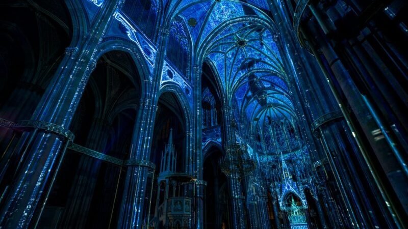 Vienna: Light of Creation Votivkirche Immersive Light Show - Practical Details and Tips