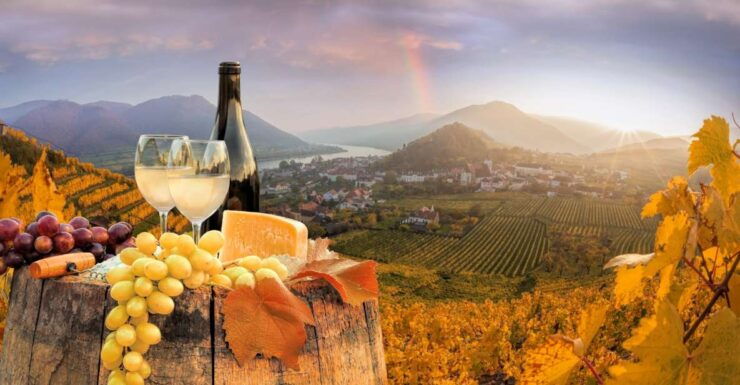 Vienna: Melk, Wachau Wine, Lower Austria Day Trip by Car - Private Guide for Lower Austria Day Trip