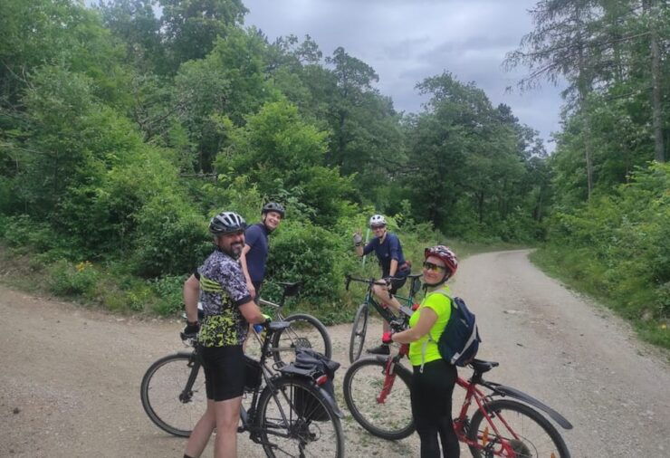 Vienna Mountain Bike Secrets - Exploring Viennas Lush Forests