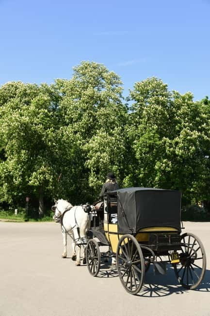 Vienna Porcelain Carriage - A discreet Prater carriage ride for adults - An Authentic, Romantic Ride Through Vienna’s Quiet Side