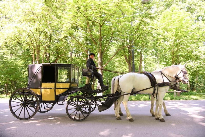 Vienna Porcelain Carriage - A discreet Prater carriage ride for adults - Practical Details: What to Expect