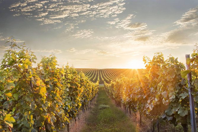 Vienna-Prague One-Way Sightseeing Tour Bus - Cancellation Policy