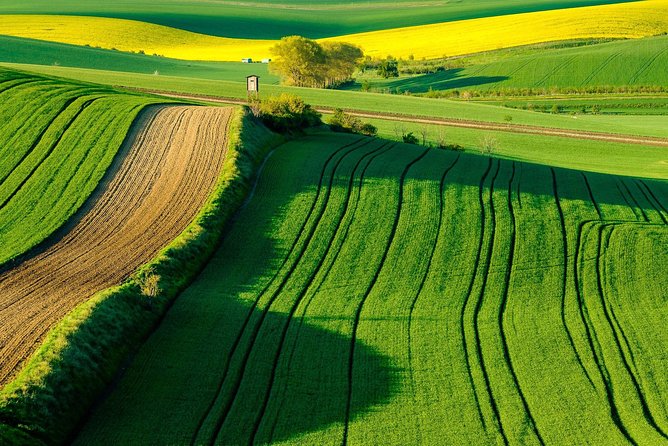 Vienna-Prague One-Way Sightseeing Tour Bus - Common Questions