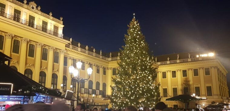 Vienna: Private Christmas Markets Tour with Drink & Snack - Who Should Book This Tour?
