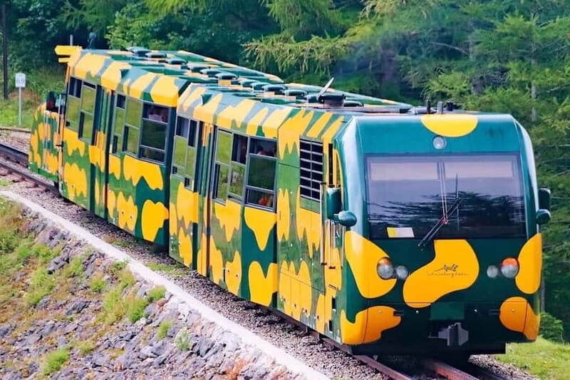 Vienna: Private Day Trip to Schneeberg & Lake Neusiedl - An Overview of the Experience