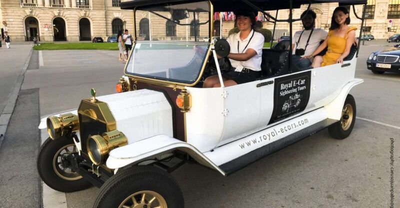 Vienna: Private Electric Car Sightseeing Tour - Who Should Book This Tour?