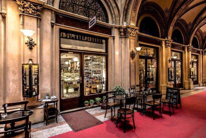 Vienna Private Guided City Tour - Imperial History and Legacy