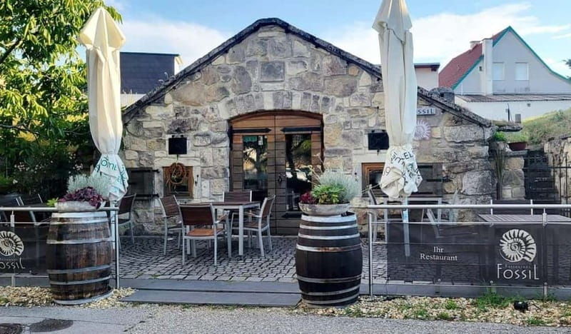 Vienna: Private tour Lake Neusiedl, Rust (wine tasting) Purbach - Good To Know
