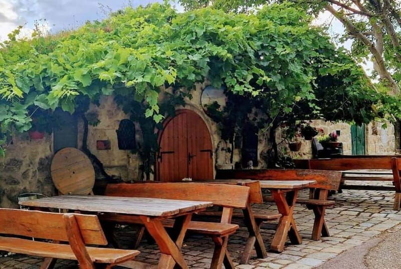 Vienna: Private tour Lake Neusiedl, Rust (wine tasting) Purbach - Deep Dive into the Itinerary