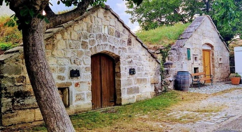 Vienna: Private tour Lake Neusiedl, Rust (wine tasting) Purbach - Who Will Love This Tour?