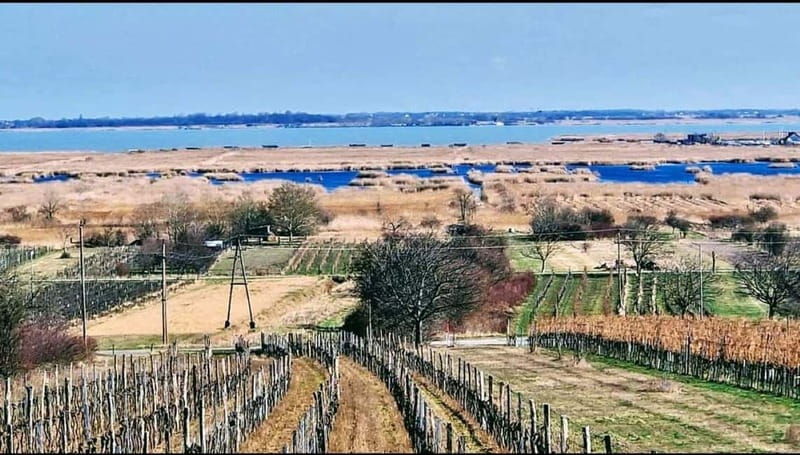 Vienna: Private tour Lake Neusiedl, Rust (wine tasting) Purbach - FAQ
