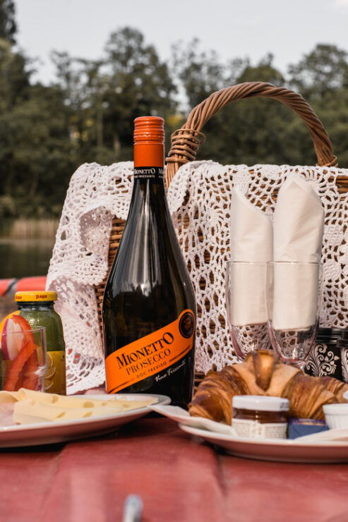 Vienna: Retro Boat Tour on the Danube River With Picnic - Good To Know