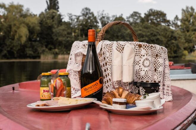 Vienna: Retro Boat Tour on the Danube River With Picnic - Highlights of the Experience