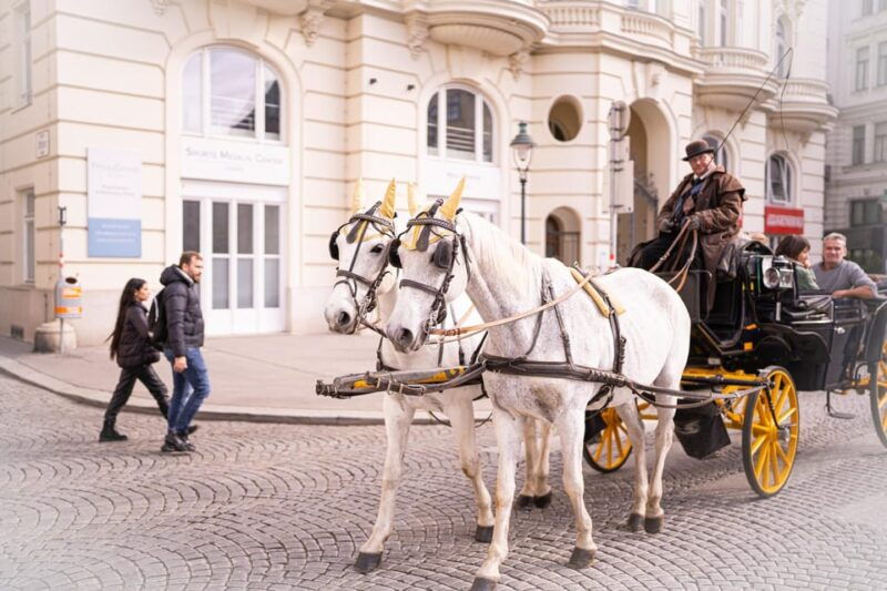 Vienna: Romanian Heritage and Christmas Markets Guided Tour - Is This Tour Right for You?