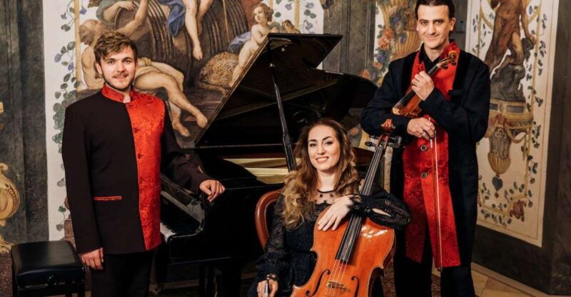 Vienna: Romantic Classics Piano, Violin, and Cello Concert - The Venue and Atmosphere