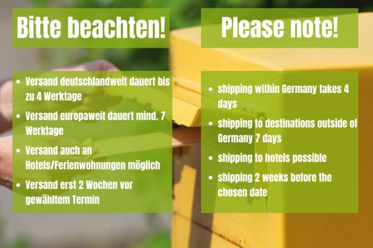 Vienna: Scavenger Hunt Self-Guided Tour - Activity Details