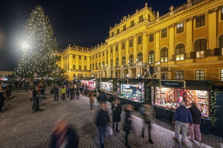 Vienna: Schönbrunn Palace & Christmas Market Walking Tour - Activity Details and Options
