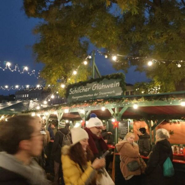 Vienna: Schönbrunn Palace & Christmas Market Walking Tour - The Sum Up