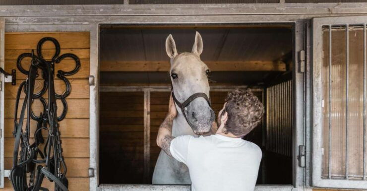 Vienna: Secrets of the Fiaker & Horse-Drawn Carriage Ride - Activity Details