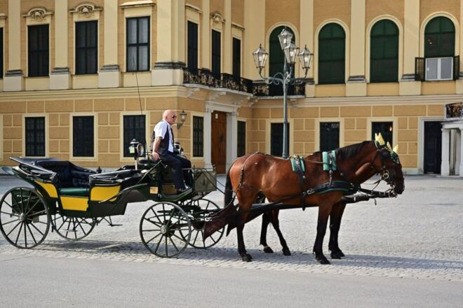Vienna: Self-Guided Puzzle & Riddle Tour in the City Center - Unique Exploration of Viennas History