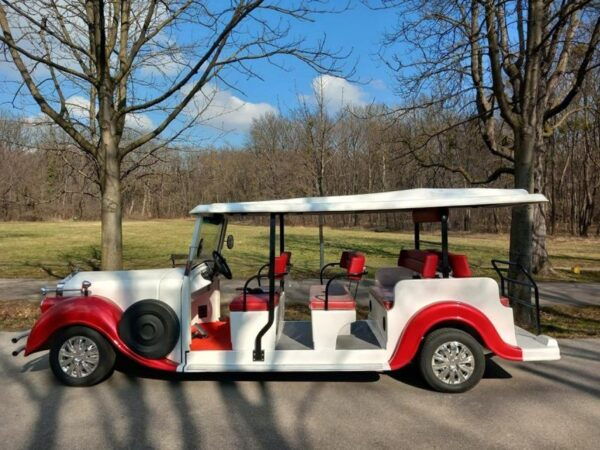 Vienna: Sightseeing Tour in an Family Electric Classic Car - Location and Group Size
