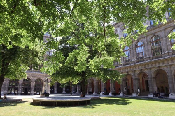 Vienna: Sigmund Freud Walking Tour - Common Questions